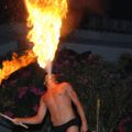 Holiday Party House - SHOW FUOCO
