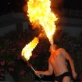 Holiday Party House - SHOW FUOCO