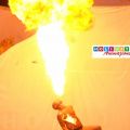 Holiday Party House - SHOW FUOCO